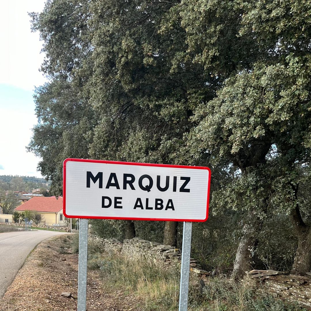 Marquiz de Alba
